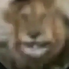 vshhhhh