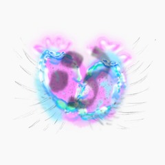 b:3tter irl ♡ ᶠᵐ 𓇼