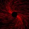 Polvojack (Abyss Hole Records)