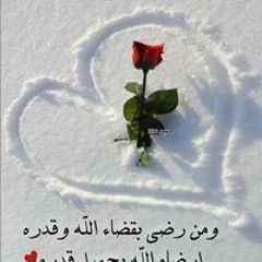 احمد محمد هريدي