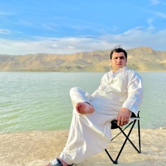 LaLa musawir
