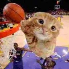 reeeeeeeeeeeeeeeel balla