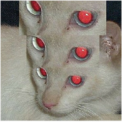 ⛓𝕾𝖎𝖓𝖎𝖘𝖙𝖊𝖗_𝖍𝖔𝖙𝖑𝖎𝖓𝖊⛓