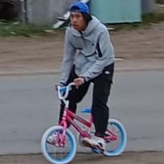 THEINUK17