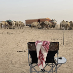 أماني الشريف