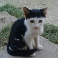ㅈㅇ