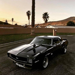 Car lover_55