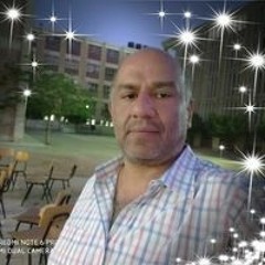 هشام محمود كامل