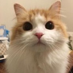 fluey