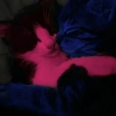 ~Vanny~