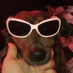 David Fernàndez Rogel