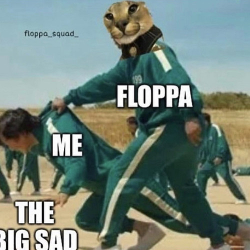 Floppa is kil (sad) : r/memes