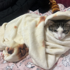 𝐉𝐚𝐢♎︎༅