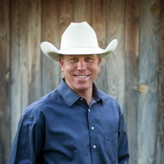 The Auctioneer