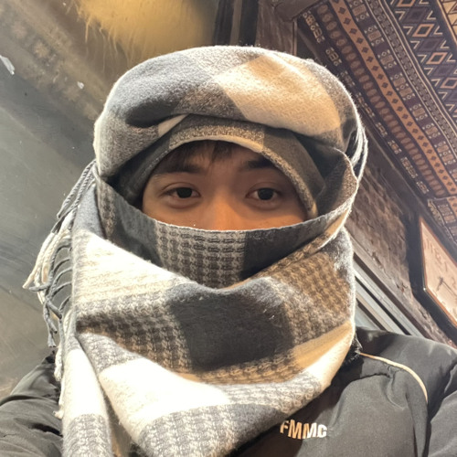 Anh Minh — artist photo
