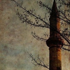 Farah Ahmad