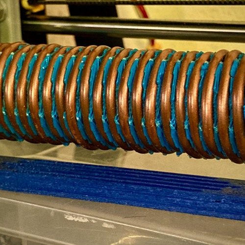 Badger Mushroom Snake 2018