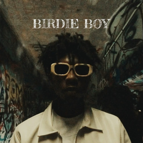 Stream Lil Birdie music | Listen to songs, albums, playlists for free ...