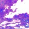 FLAE archive