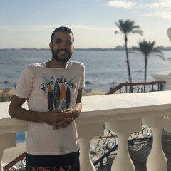 mostafa bahaa el-din