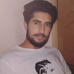 Ali Hasnain Bhatti