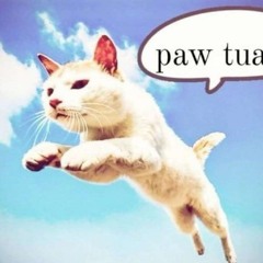 meowthedoodle