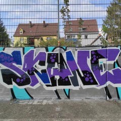 Skane.One