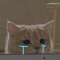 Vũ Vụng Về