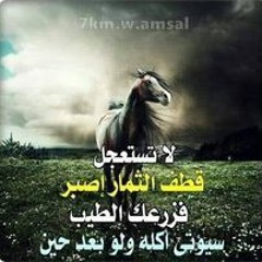 حمادة النمر