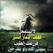 حمادة النمر