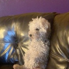 Ben