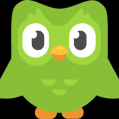 Duolingo Bird
