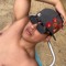 alfred_21o