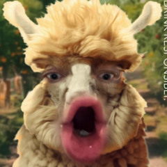 Mxrc.rstck