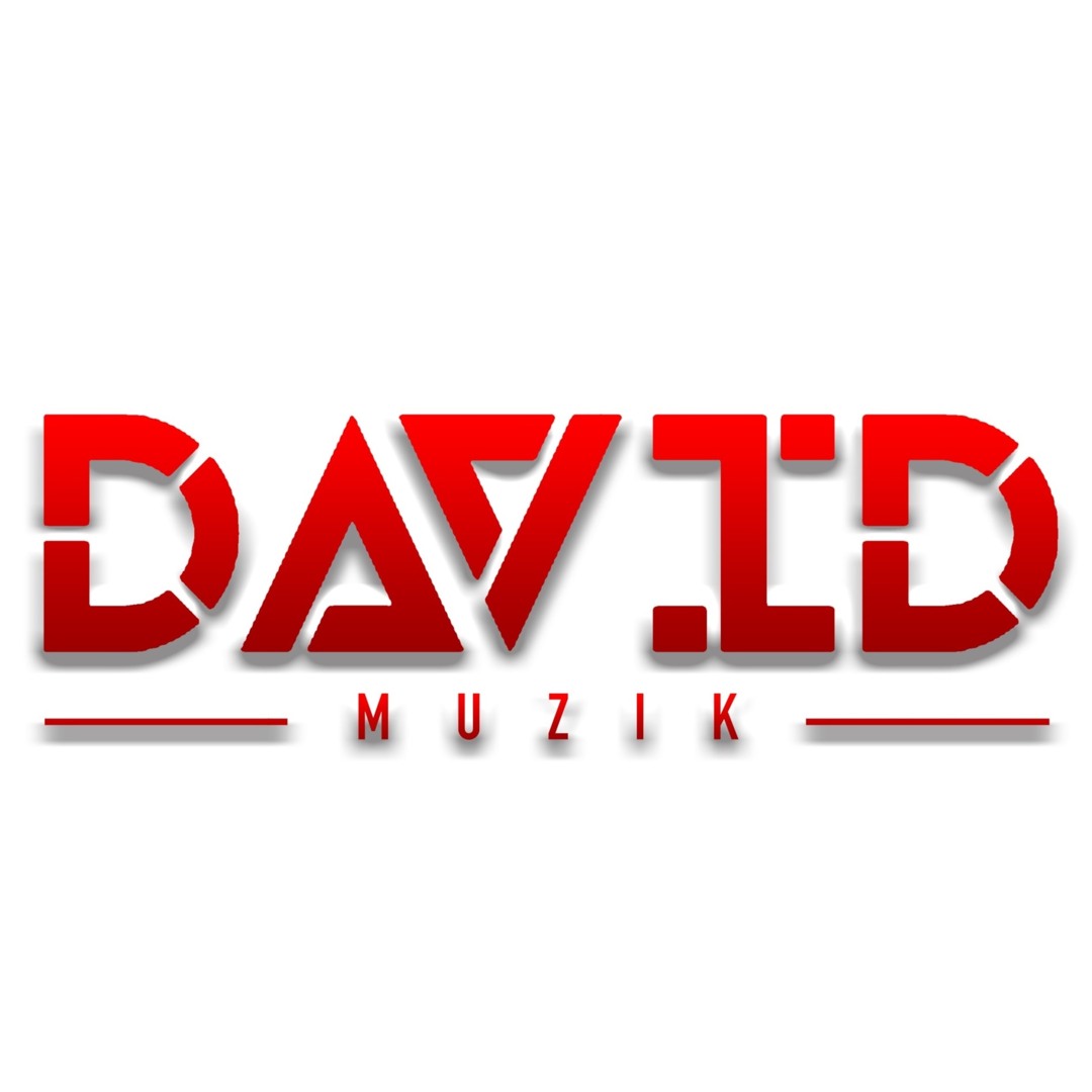 David Muzik’s avatar