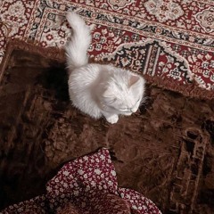 منار بخيت