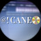 @! CANE📀