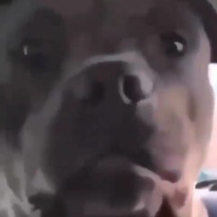 Goof
