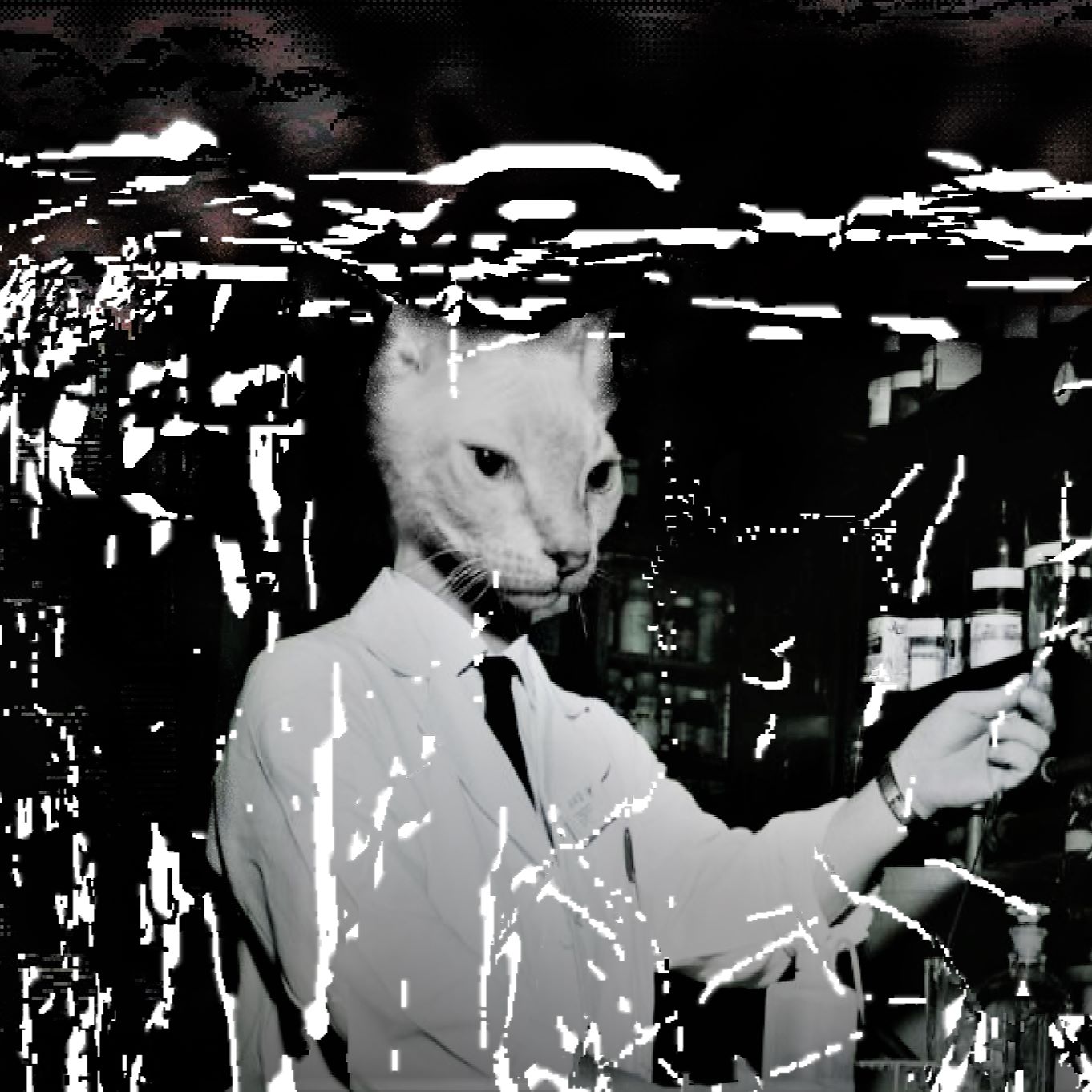 Chemicat