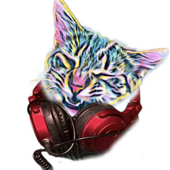 DJ Ali Kat 🐈‍⬛
