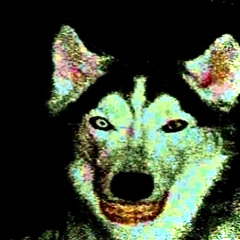 ItzAshMf