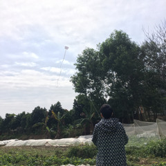 Lâm Dương