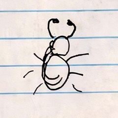swtrbug