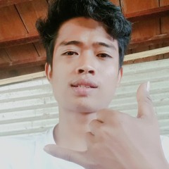 mr hamz