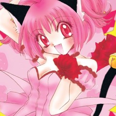 tarrikitty