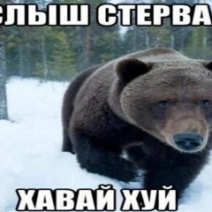 mliovka
