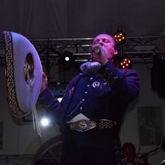 Alonso Bolaños