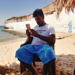 Zyad Elmenshwi