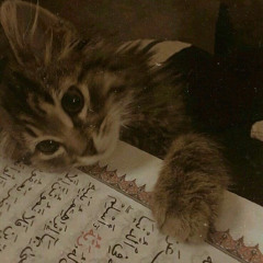 جائهم كالعصف يدنو - جزافا