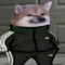 slav cheems
